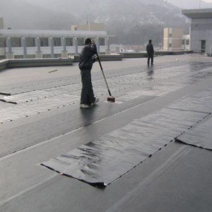 拉薩防水補漏與西藏堵漏工程施工指南 保障高原建筑的持久安全