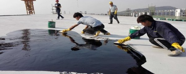 市場主流防水材料全解析 科學選材，筑牢工程防線